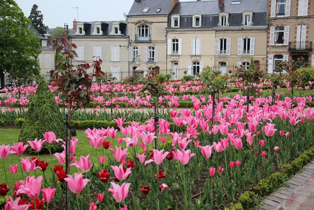 Jardin Des Plantes